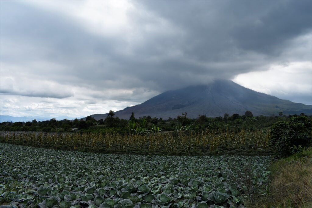 Sinabung - New Naratif