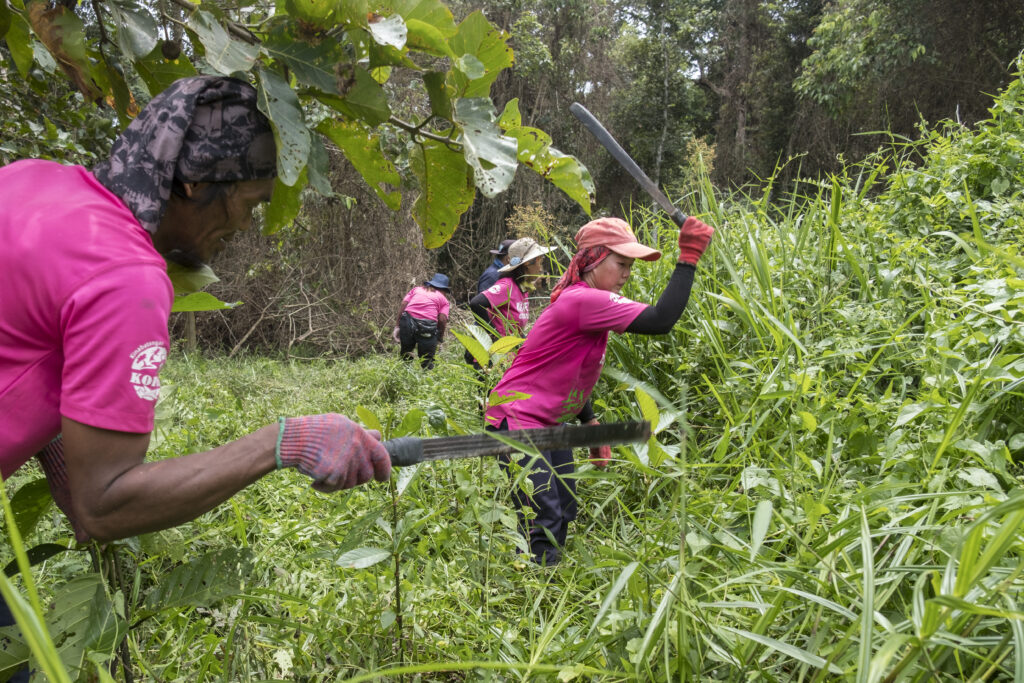 Planting on plots that are overgrown with grasses, bushes and vines requires clearing all vegetation except for trees that grow wild. Reforestation teams use machetes to cut down overgrowth, which is often taller than them.