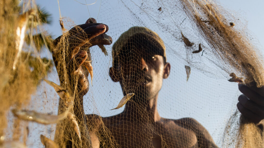 A shirtless fisherman wearing a ball cap holds up a fishing net and pulls out tiny silver fish caught in the Tonle Sap Lake in Siem Reap Province in December 2017. Roun Ry