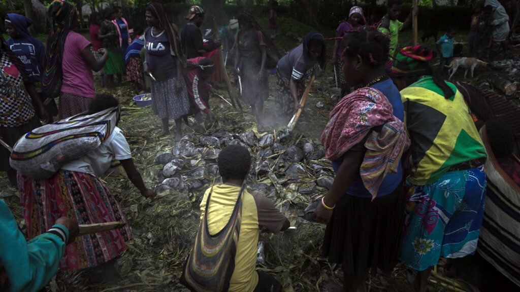 The Bakar Batu ceremony is a symbol of the solidarity of the Papuan people. Later, pork will be cut and distributed evenly to all residents, both Papuan refugees and the original inhabitants of Sekom Village, West Papua. Reno Surya